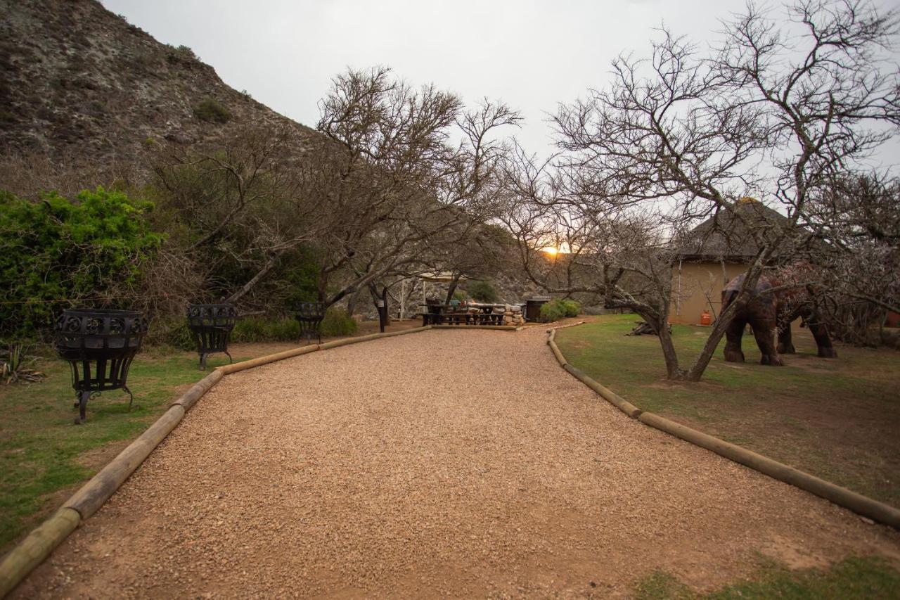 Indalu Game Reserve Boggomsbaai Ngoại thất bức ảnh